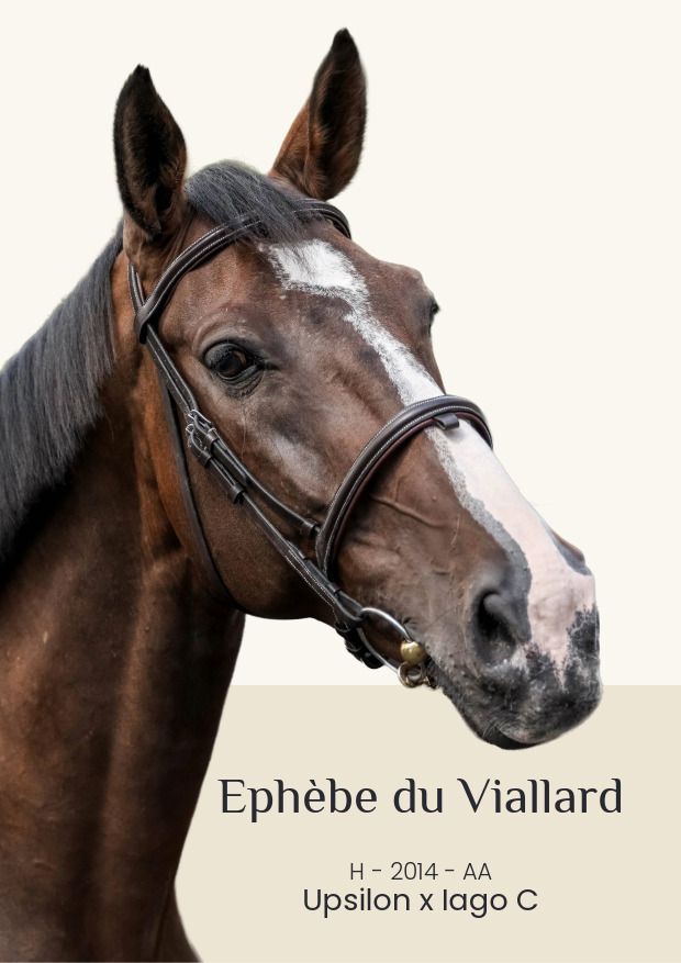 Ephebe du Viallard AA