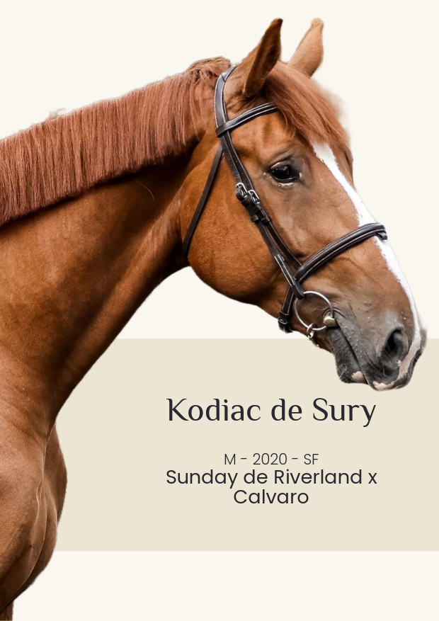 Kodiac de Sury