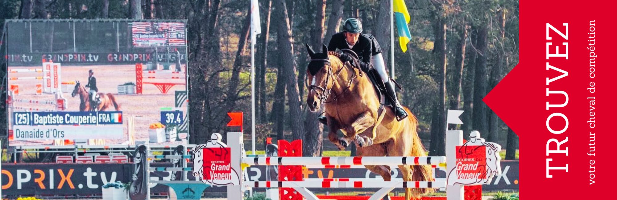 chevaux de sport à vendre - Ecurie du Grand Veneur