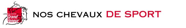 Valorisation de chevaux de sport