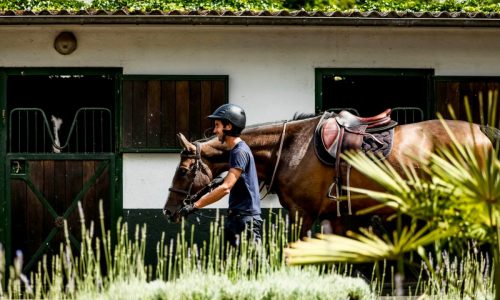 Baptiste-Couperie-cavalier-international