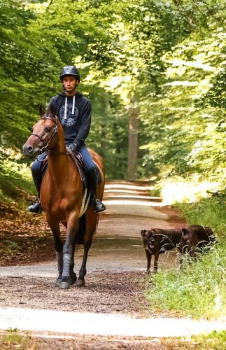 Professionnal-equestrian-rider-Baptiste-Couperie-4