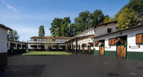 VUE-COURS-ECURIE-GRAND-VENEUR
